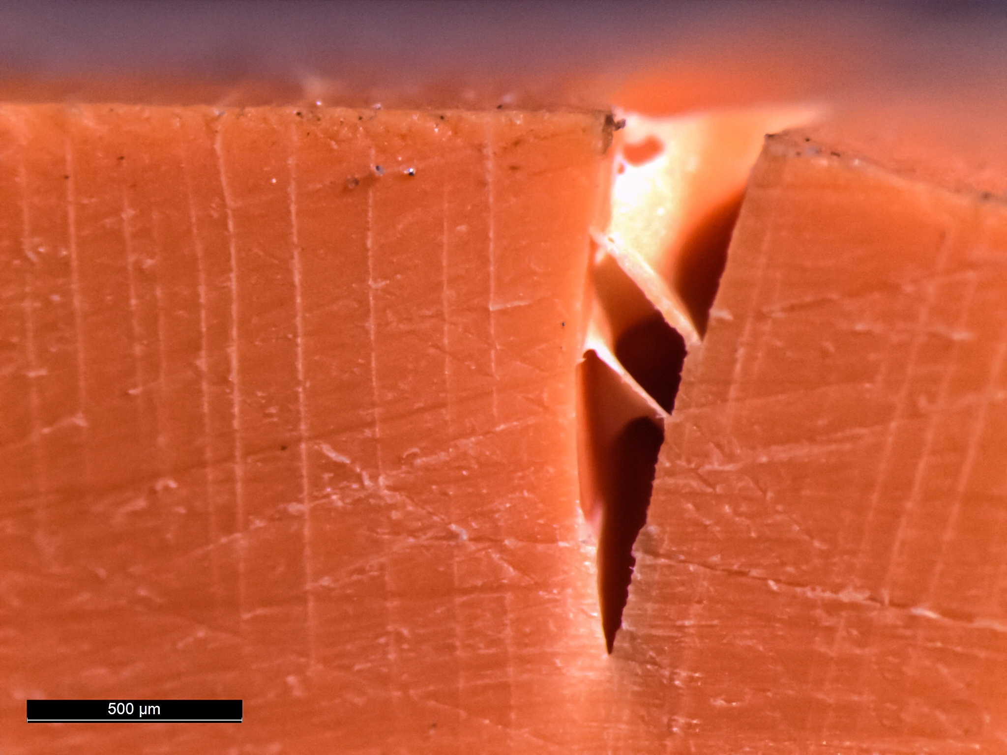 CPVC Pipes and Sealants